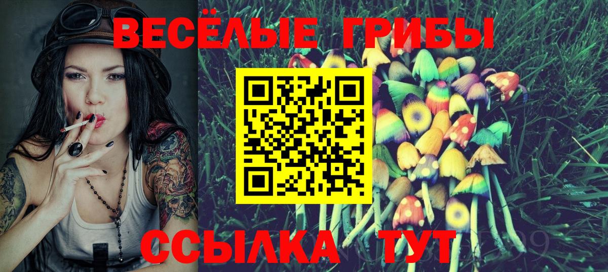 Галлюциногенные грибы ЛСД  Вход с VPN  Псилоцибиновые грибы ЛСД  Ростов-на-Дону 